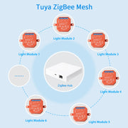 LoraTap Tuya ZigBee 3.0 Light Relay Module Smart Life Google Home Alexa App Remote Control Devices Timer Work with Zigbee2MQTT